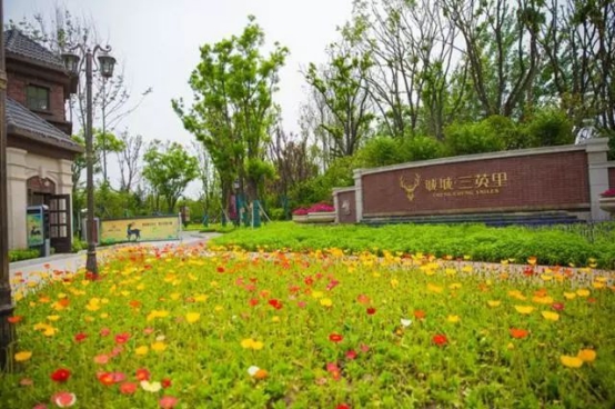 热烈欢迎漯河市郾城区各位领导莅临诚城·三英里观摩指导1025